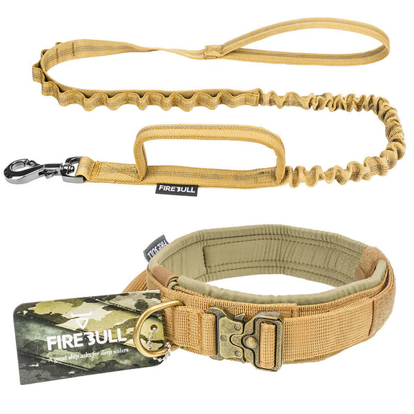 AlphaStride Harness & Leash