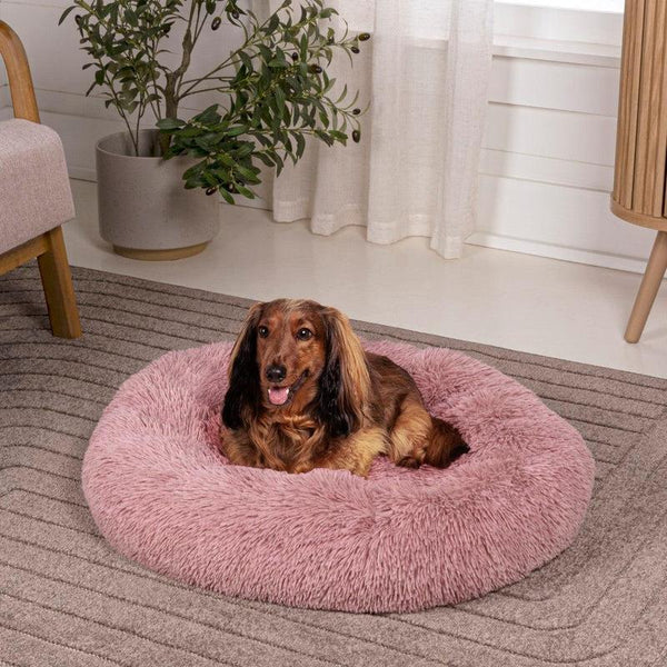 Cozy Velvet Pet Nest