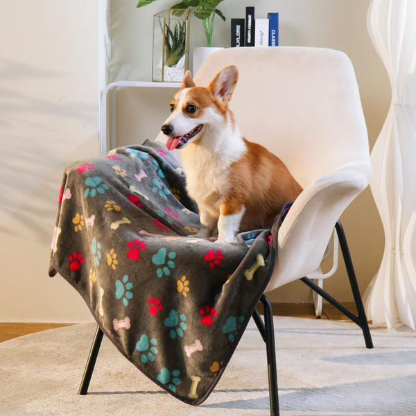 PawFetti Cozy Pet Blanket